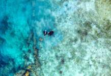 Accidente buceo Maldivas qué se sabe hoy y claves Accidente buceo Maldivas qué se sabe hoy y claves image