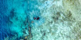 Accidente buceo Maldivas qué se sabe hoy y claves image
