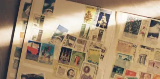 Mundial y cromos el secreto del álbum más deseado image