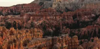 Crimson Desert juego genera dudas y aún puede sorprender image
