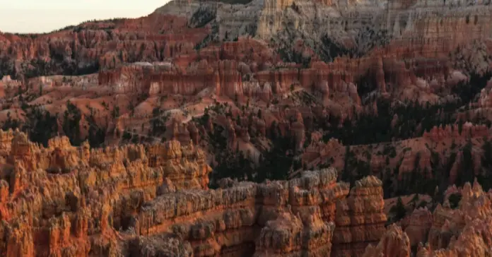 Crimson Desert juego genera dudas y aún puede sorprender image