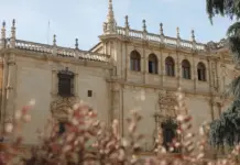 Portavoz de Vox en Alcalá tensiona al PP image