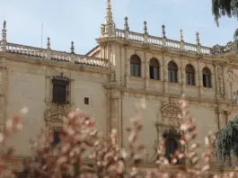 Portavoz de Vox en Alcalá tensiona al PP image