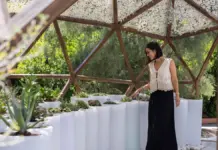 Descubre BiBo Park: naturaleza inspiradora y tecnología sorprendente