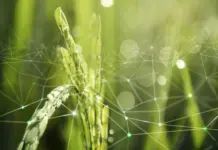 Sector agroalimentario: ¿Está atrasado el uso de tecnología?