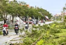 Cómo cuidar tu salud en la temporada de lluvias