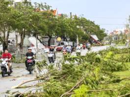 Cómo cuidar tu salud en la temporada de lluvias