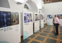 Avances médicos: la clave de la tecnología sanitaria
