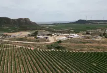 Innovación y tecnología: claves para el futuro del almendro