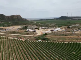Innovación y tecnología: claves para el futuro del almendro