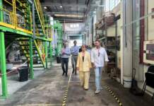 La innovadora tecnología de Greene Enterprise que transforma residuos de poda forestal