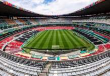 El Mundial en peligro: ¿gérmenes en el campo?