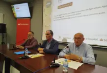 El futuro del sector cítrico: innovación para la competitividad