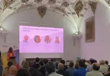 Descubre la fusión de seguridad y tecnología cuántica en León