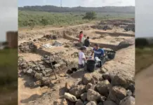 Descubre el pasado fenicio del Castillo de Doña Blanca