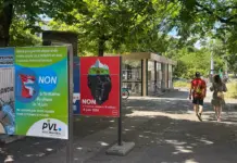 Los suizos deciden en referéndum limitar su población a 10 millones