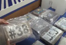 Descubren gran red de narcos en el Levante con ayuda de una mujer y un empresario del ocio nocturno