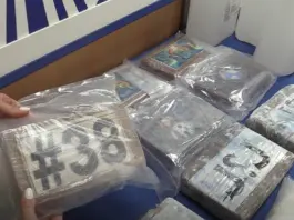 Descubren gran red de narcos en el Levante con ayuda de una mujer y un empresario del ocio nocturno