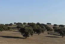 Proyecto tecnológico eco busca minerales en Los Pedroches