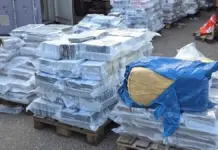 Desarticulada red de transporte de droga España-Países Bajos: tonelada de cocaína incautada
