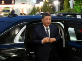 China inventa tecnología revolucionaria para detectar mascotas bajo el coche.