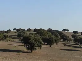 Descubre el innovador proyecto minero en Los Pedroches: tecnología verde busca metales preciosos