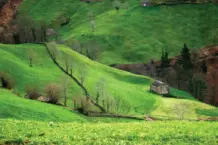 NOW Rural 2026: Tecnología y Territorio en Corvera de Toranzo