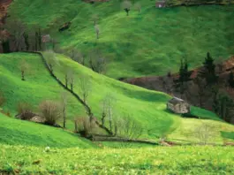 NOW Rural 2026: Tecnología y Territorio en Corvera de Toranzo