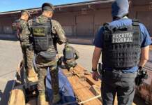 Descubren 50 toneladas de cocaína escondidas en troncos de madera en Brasil.