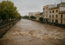 rio guadalete en Jerez sigue en alerta y preocupa