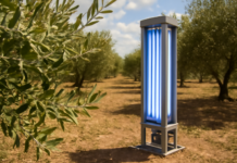 Tecnología innovadora en olivar andaluz: luz ultravioleta para mejorar resiliencia
