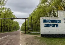 Chernobyl revive con fauna salvaje y futuro verde Chernobyl revive con fauna salvaje y futuro verde image