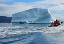 greenland clave para el nuevo pulso geopolítico greenland clave para el nuevo pulso geopolítico image