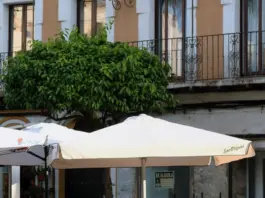 Boja refuerza la Justicia en Algeciras y Marbella Boja refuerza la Justicia en Algeciras y Marbella image