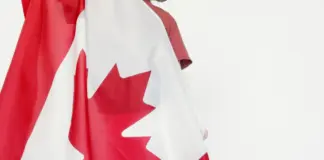 Larin lidera a Canadá y pone a Bosnia contra las cuerdas image