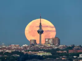 Luna llena mayo 2026 y cuándo ver la de las Flores Luna llena mayo 2026 y cuándo ver la de las Flores image