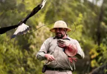 Miguel Sebastián y las joyas saudíes en el Falcon Miguel Sebastián y las joyas saudíes en el Falcon image