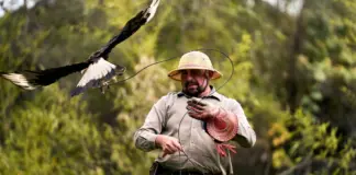 Miguel Sebastián y las joyas saudíes en el Falcon image