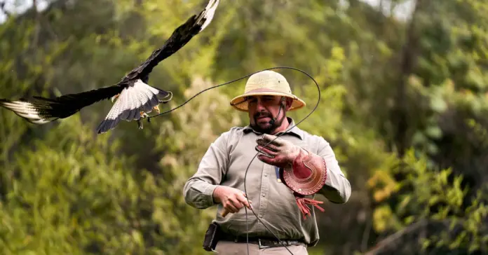 Miguel Sebastián y las joyas saudíes en el Falcon image