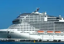 Norovirus cruceros qué hacer si viajas este verano image