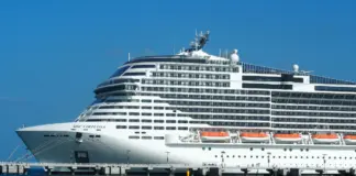 Norovirus cruceros qué hacer si viajas este verano image