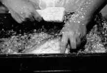 Pescado en Mercadona y el cambio que más conviene Pescado en Mercadona y el cambio que más conviene image