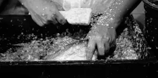 Pescado en Mercadona y el cambio que más conviene image