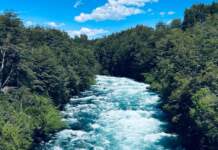 river alerta por menos oxígeno en ríos del mundo image