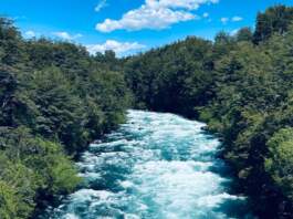 river alerta por menos oxígeno en ríos del mundo image