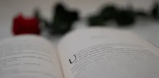 Sant Jordi 2026 y los planes que no te puedes perder image