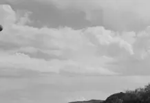 Avance valle salvaje y el castigo que lo cambia todo image