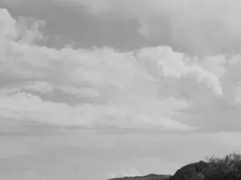 Avance valle salvaje y el castigo que lo cambia todo image
