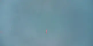 Tierra oculta la red subterránea que sostiene vida image