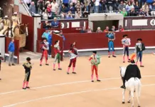 torero trituradora el susto que cambió su vida image